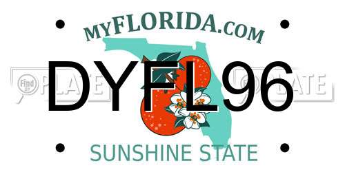 DYFL96 Florida License Plate