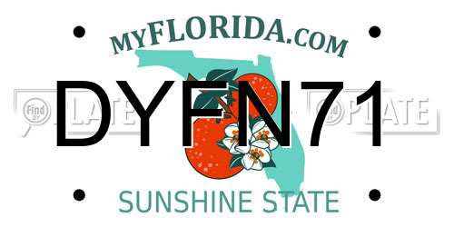 DYFN71 Florida License Plate