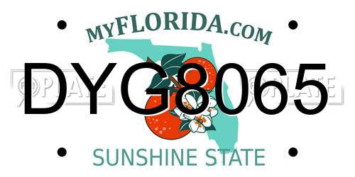 DYG8065 Florida License Plate