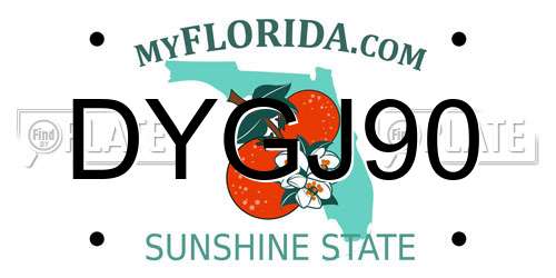 DYGJ90 Florida License Plate