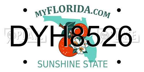 DYH8526 Florida License Plate