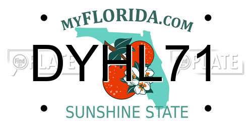 DYHL71 Florida License Plate