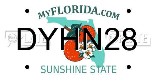 DYHN28 Florida License Plate