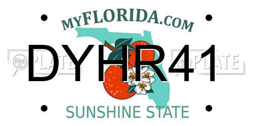 DYHR41 Florida License Plate
