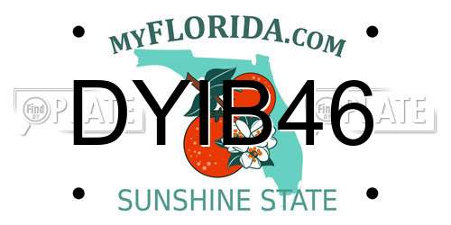 DYIB46 Florida License Plate