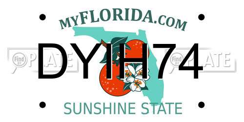 DYIH74 Florida License Plate