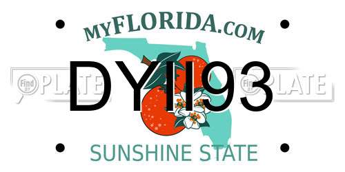 DYII93 Florida License Plate