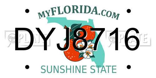 DYJ8716 Florida License Plate