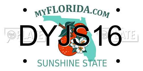 DYJS16 Florida License Plate