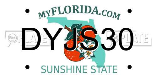 DYJS30 Florida License Plate