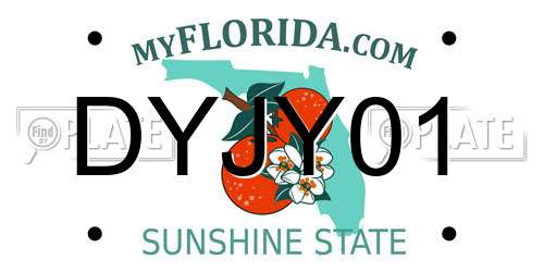 DYJY01 Florida License Plate