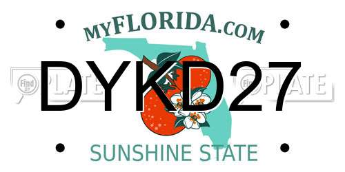 DYKD27 Florida License Plate