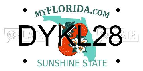 DYKL28 Florida License Plate
