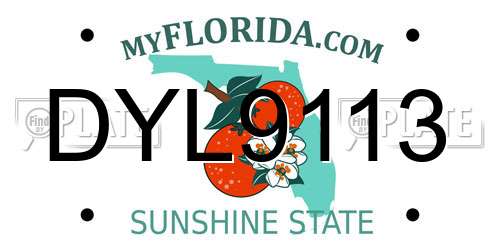DYL9113 Florida License Plate