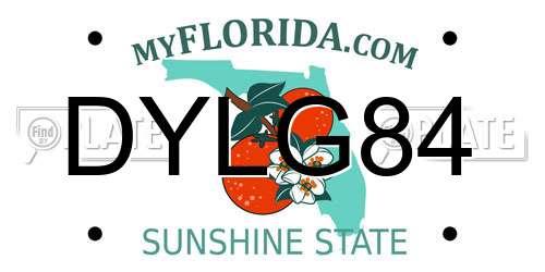 DYLG84 Florida License Plate