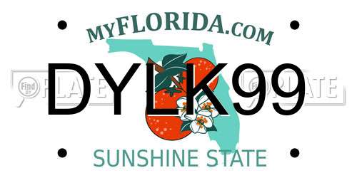 DYLK99 Florida License Plate