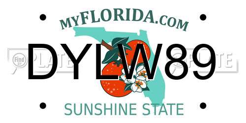 DYLW89 Florida License Plate