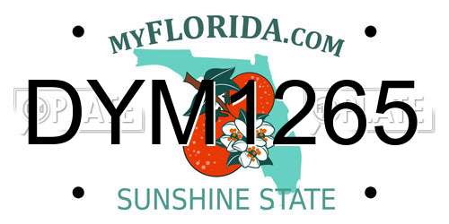DYM1265 Florida License Plate
