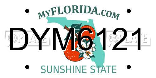 DYM6121 Florida License Plate