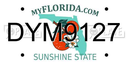 DYM9127 Florida License Plate