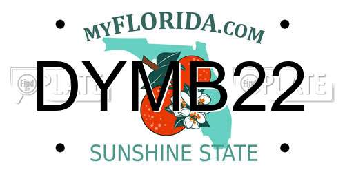 DYMB22 Florida License Plate