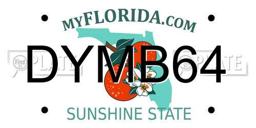 DYMB64 Florida License Plate
