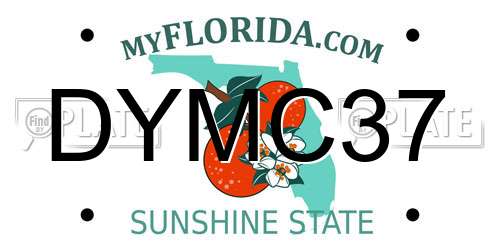 DYMC37 Florida License Plate