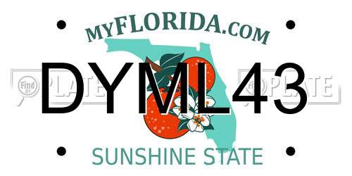DYML43 Florida License Plate
