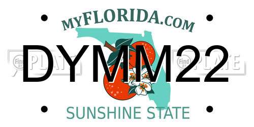 DYMM22 Florida License Plate
