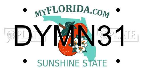 DYMN31 Florida License Plate