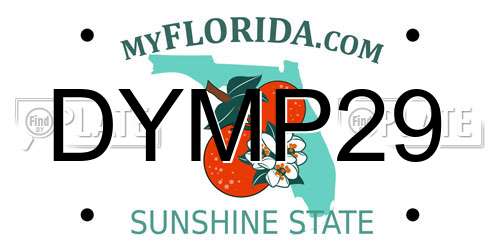 DYMP29 Florida License Plate
