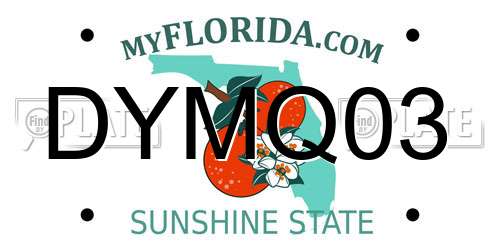 DYMQ03 Florida License Plate