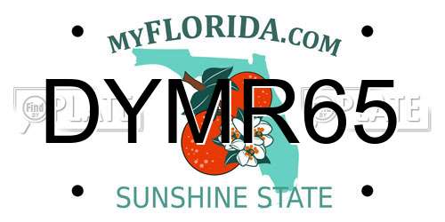 DYMR65 Florida License Plate