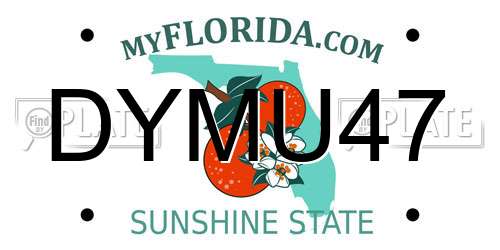 DYMU47 Florida License Plate