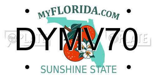 DYMV70 Florida License Plate