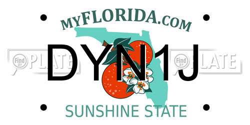 DYN1J Florida License Plate