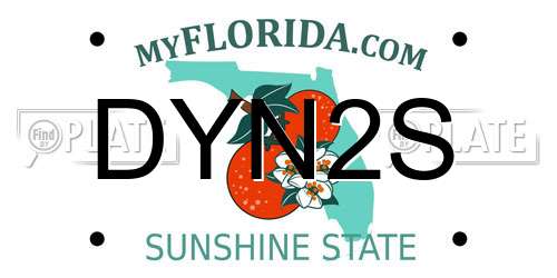 DYN2S Florida License Plate