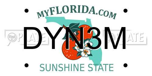DYN3M Florida License Plate