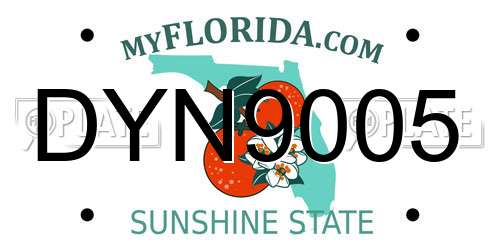 DYN9005 Florida License Plate