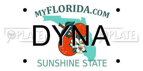 DYNA Florida License Plate