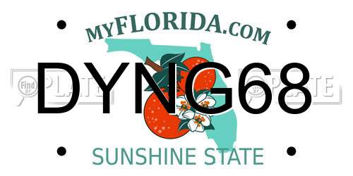 DYNG68 Florida License Plate