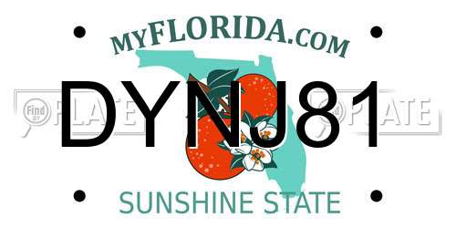 DYNJ81 Florida License Plate