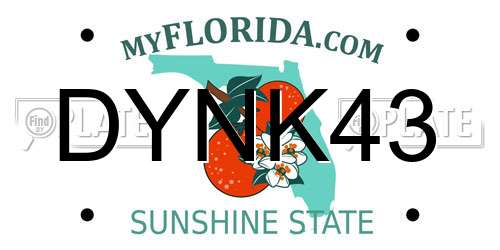 DYNK43 Florida License Plate