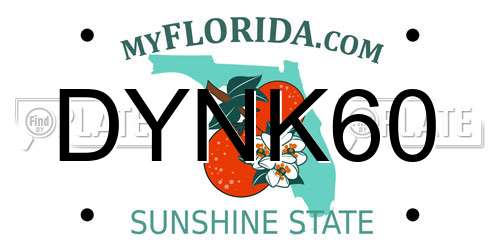 DYNK60 Florida License Plate