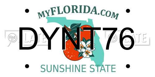 DYNT76 Florida License Plate