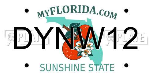 DYNW12 Florida License Plate