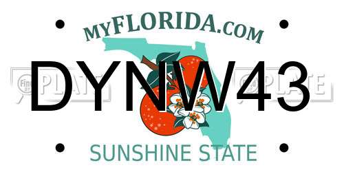 DYNW43 Florida License Plate
