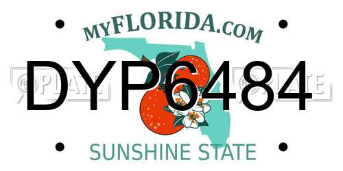 DYP6484 Florida License Plate