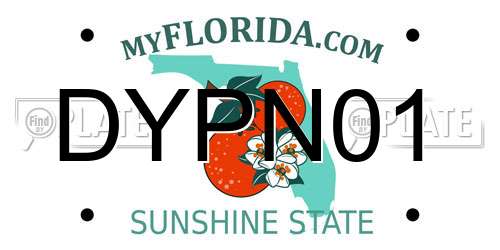 DYPN01 Florida License Plate