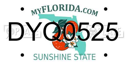 DYQ0525 Florida License Plate